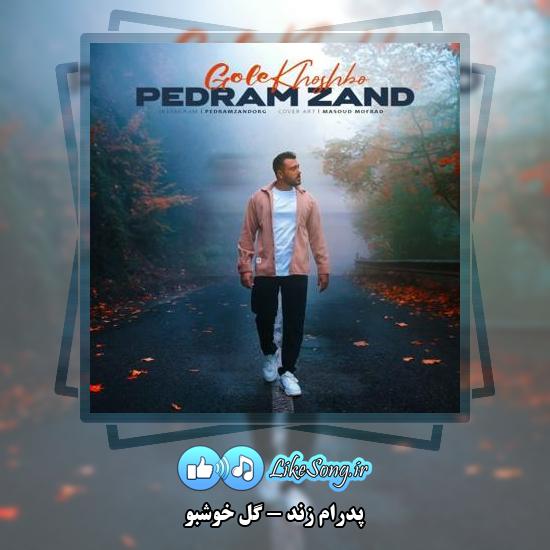 دانلود آهنگ پدرام زند گل خوشبو
